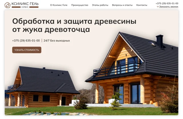 Hero section of Xilix Gel Service website